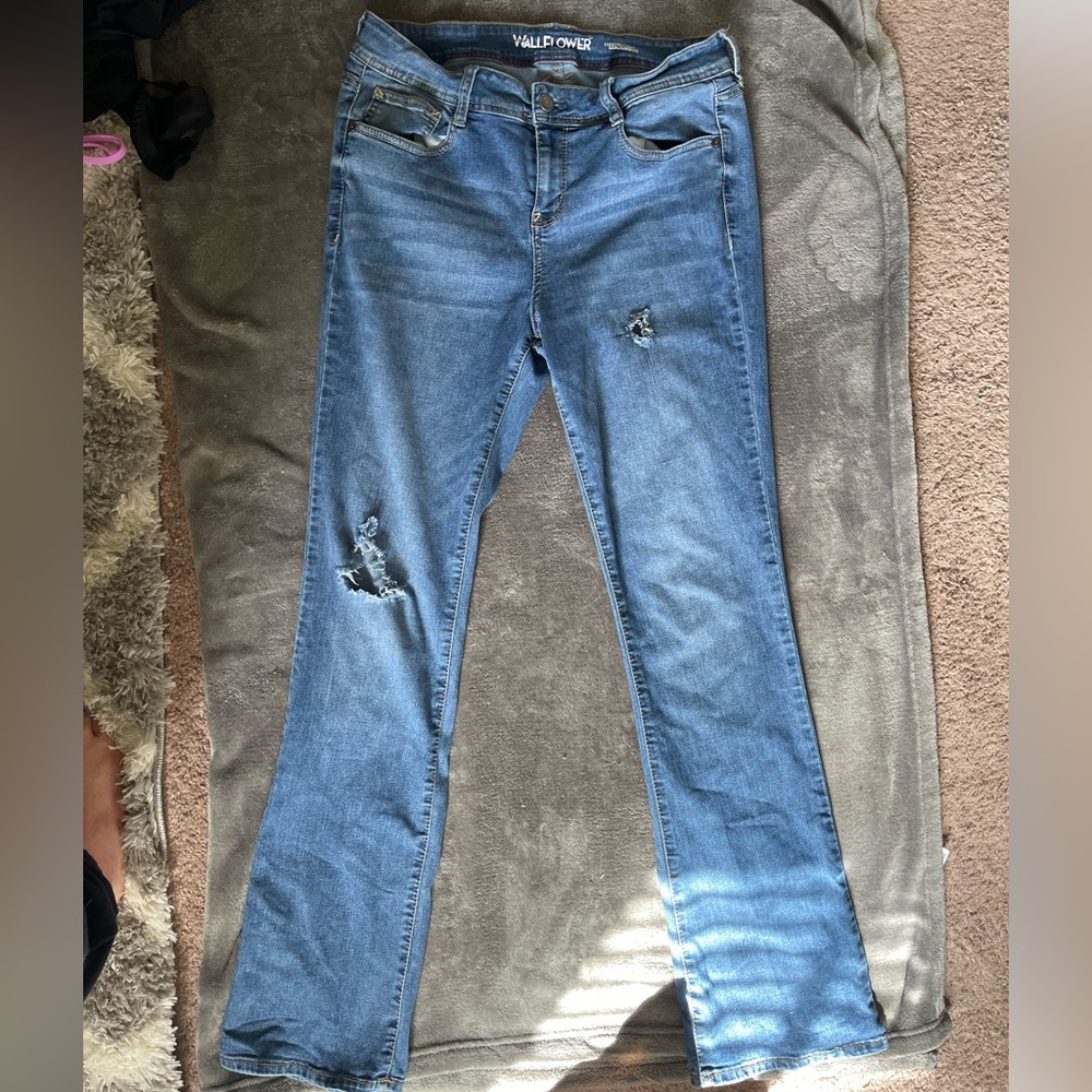 Wallflower pants
